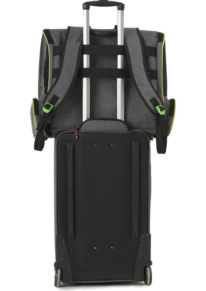 Kedi ve Köpekler Için Piramit Xl Taşıma Çantası - Geniş Alan Havalandırmalı Seyahat Çantası indirimleri