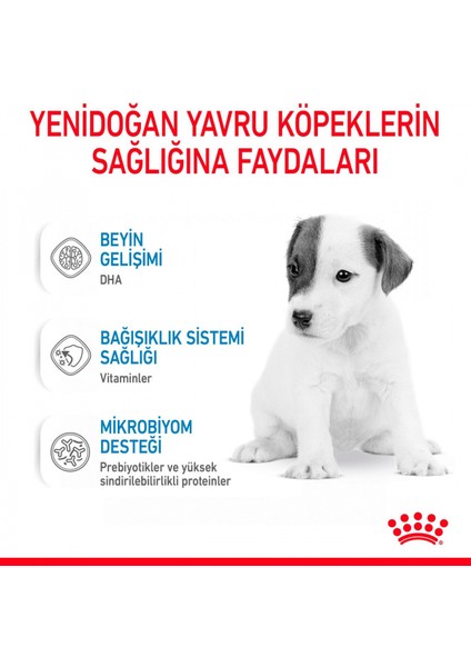 Baby Dog Milk Yavru Köpekler Için Süt Ikame Maması 400g
