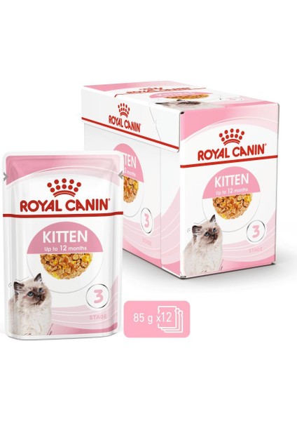 Yavru Kediler için Jöle İçerisnde Yaş Kedi Maması 85g