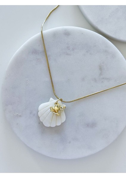 Çelik Deniz Kabuğu Charm Kolye