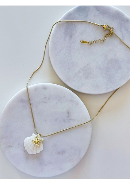 Çelik Deniz Kabuğu Charm Kolye fiyatları