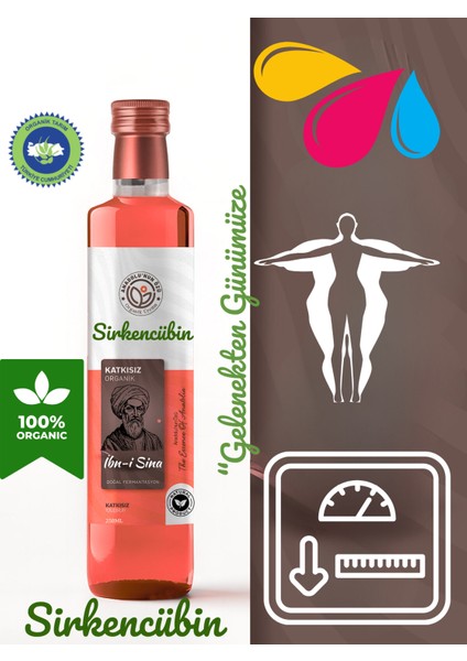 Sirkencübin modelleri