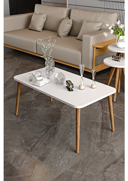 Orta Sehpa Ahşap Üst Yüzey ve Ceviz Ayaklarla Modern Beyaz Tasarım modelleri