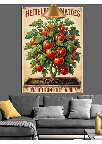 Miras Domates Tohumları Ile Yetiştirme Posteri Dekoratif Kanvas - Mdf Ahşap Tablo
