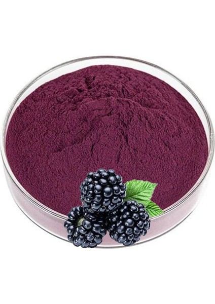 Böğürtlen Ekstraktı 1 kg . fiyatları