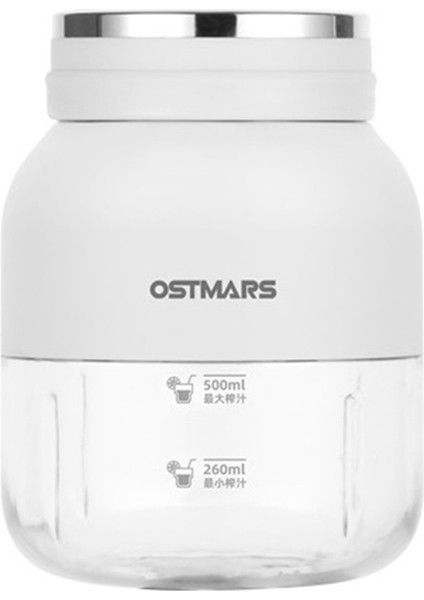 Ostmars Çok Amaçlı Büyük Kapasiteli Meyve Suyu Şişesi, Kapaklı Meyve Suyu Şişeleri, Taşınabilir Kablosuz Elektrikli Buz Kırıcı Kapları B (Yurt Dışından)