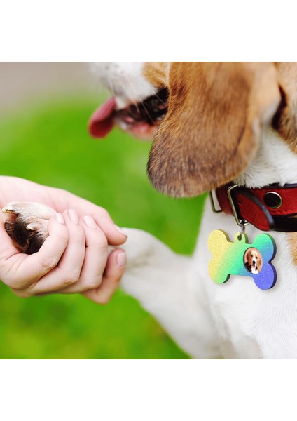 Epoksi Silikon Kalıp Kemik Kedi ve Köpek Çoklu Tasma Isimlik Kalıbı fırsatları