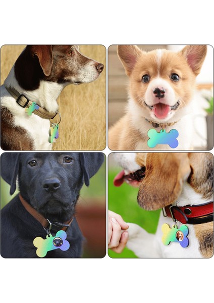 Epoksi Silikon Kalıp Kemik Kedi ve Köpek Çoklu Tasma Isimlik Kalıbı