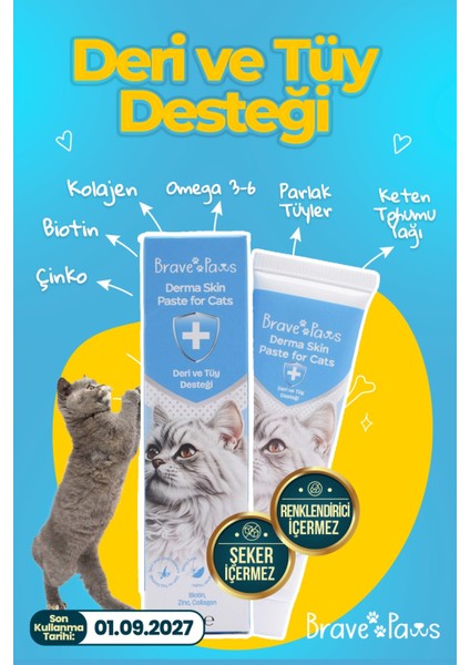 Kediler Için Deri ve Tüy Desteği – Parlak Tüyler, Sağlıklı Deri