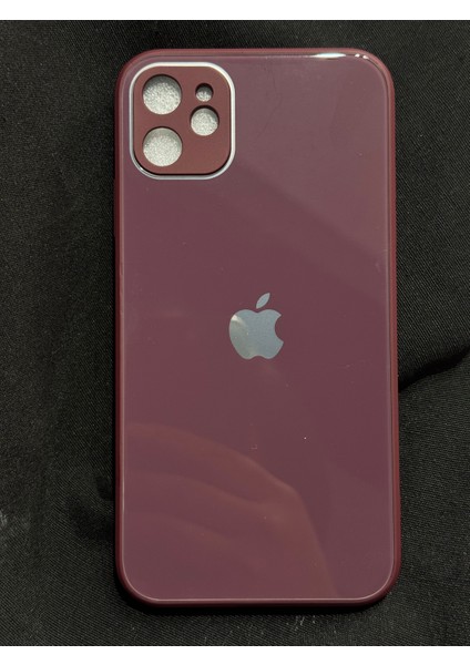 Trendy Kılıf Apple iPhone 11 Uyumlu Cam Kılıf