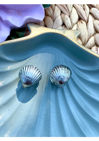 Istiridye Pirinç Küpe fiyatları