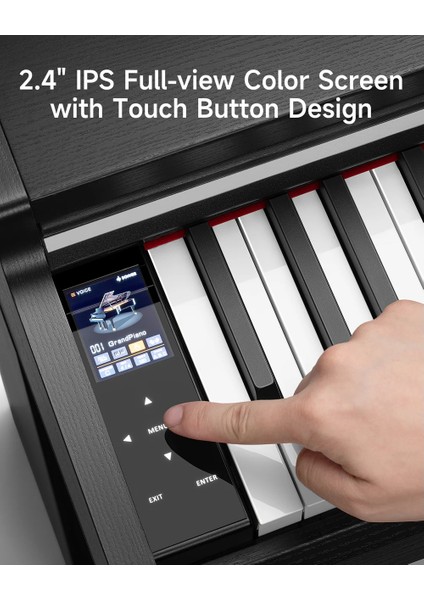 DDP-200 Pro Dijital Piyano (Siyah)