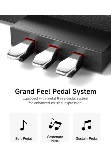 DDP-200 Pro Dijital Piyano (Siyah)