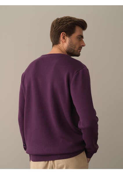 Erkek Mor Regular Fit Desenli Kazak