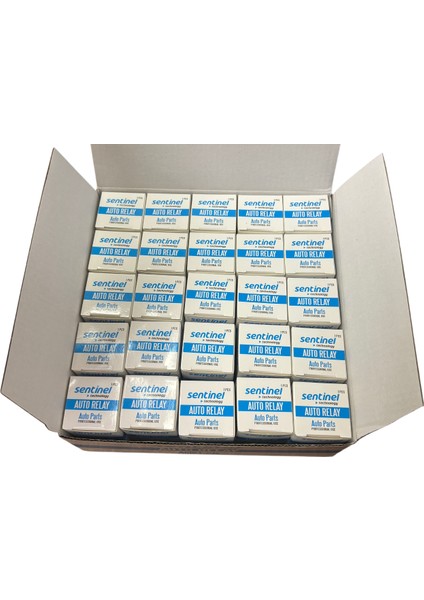 Titreyen Korna Rölesi (Saydırıcı) 12V 25 Adet Fiyatı (01-006) modelleri