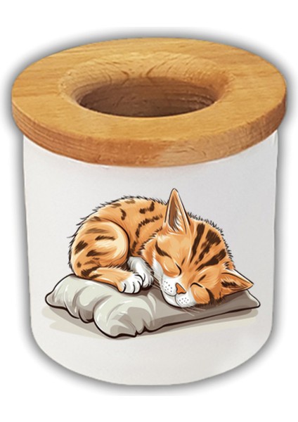 Uyuyan Kedi Baskılı Kalemlik Kalem Kutusu