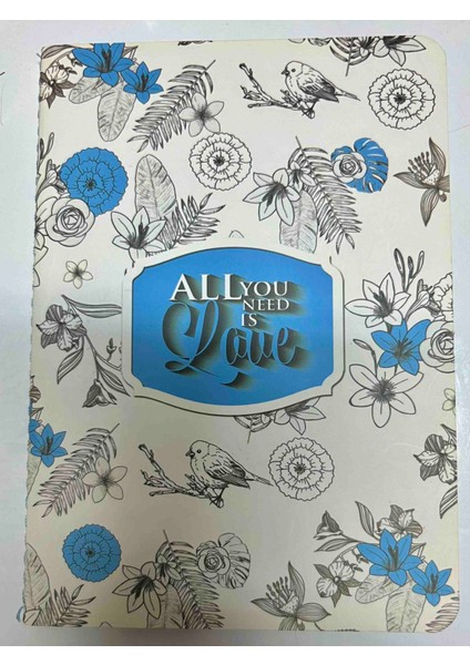 Lizy Collection A6 Çizgili Içi Mavi Renkli Not Defteri