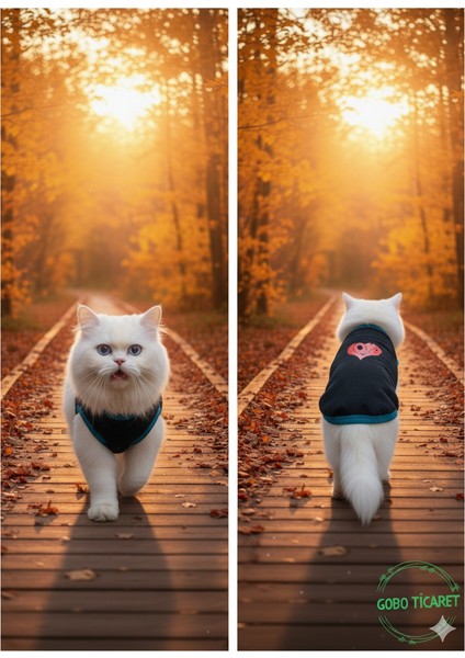 Love Desenli Kışlık Siyah Kedi Köpek Kıyafeti Elbisesi fırsatları