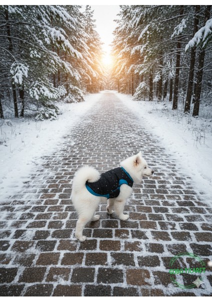 Love Desenli Kışlık Siyah Kedi Köpek Kıyafeti Elbisesi indirimleri