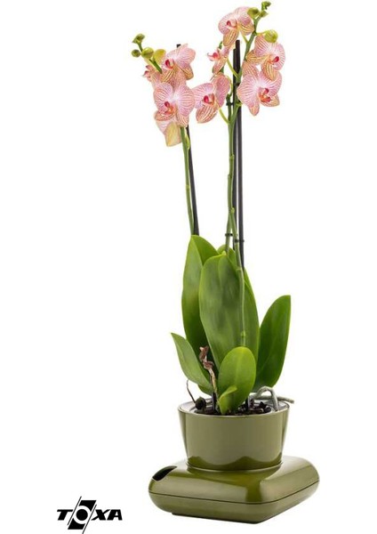 3,5 Litre Kimono Saksı Su Hazneli Alttan Sulamalı Plastik Drenajlı Çiçek Saksısı