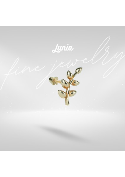 Zeytin Dalı Altın Piercing