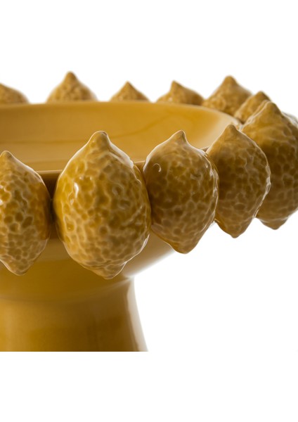 LEMON GROVE DEKORATİF SUNUMLUK 34X34X24CM