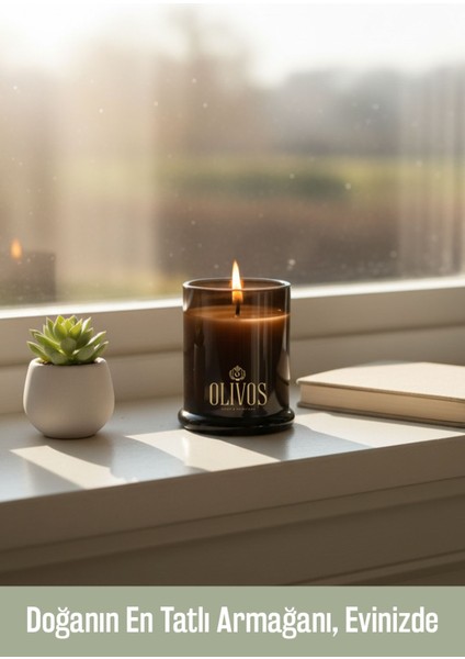 Arcadian Grove Incir Kokulu Mum 200 G fiyatları