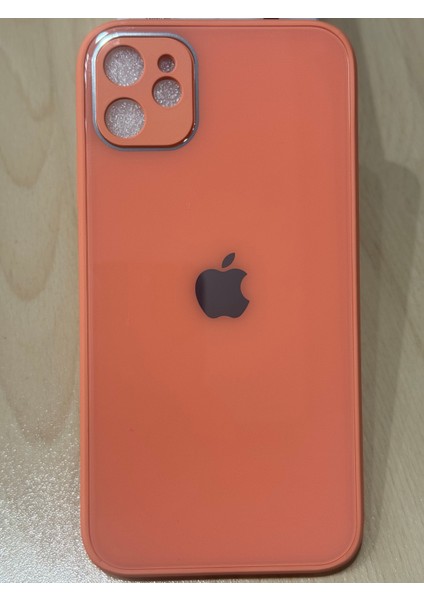 Trendy Kılıf Apple iPhone 11 Uyumlu Cam Kılıf