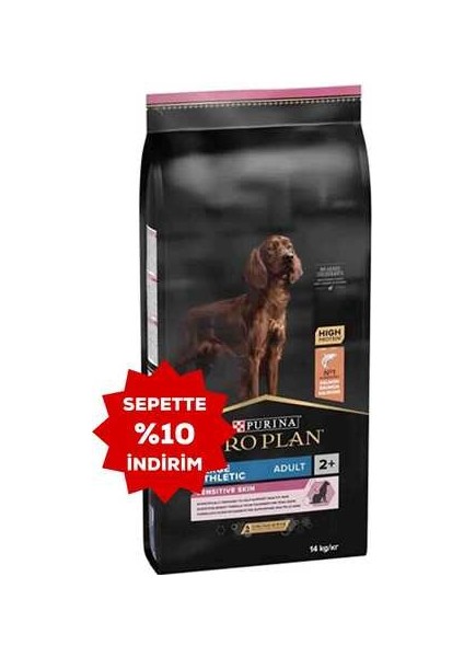 Large Athletic Somonlu Büyük Irk Yetişkin Köpek Maması 14KG