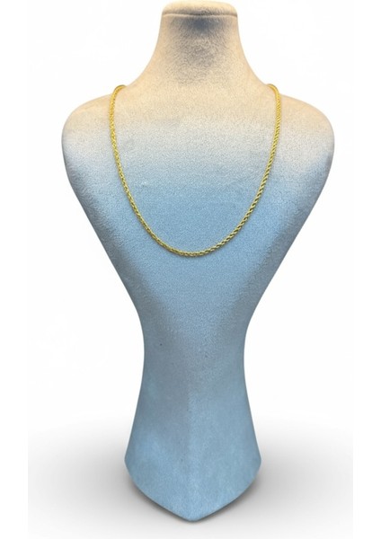 Altın Kolye Burgu Zincir modelleri