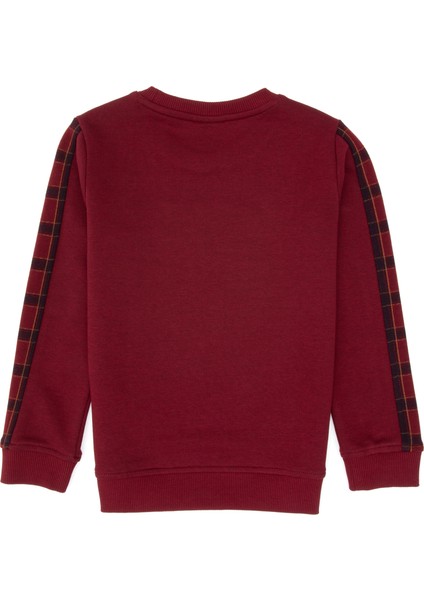 Erkek Çocuk Bordo Sweatshirt 50316537-VR014 fiyatları