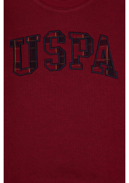 Erkek Çocuk Bordo Sweatshirt 50316537-VR014 modelleri