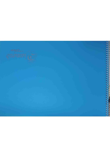 Liva Color 25X35 25 Yaprak Mavi Renk Spiralli Resim Defteri