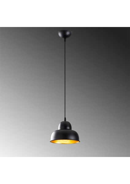 Çakır Modern Tekli Sarkıt Avize Siyah, Retro Metal Sıvama Başlık Lamba CAKIR-180BLACK-1 modelleri