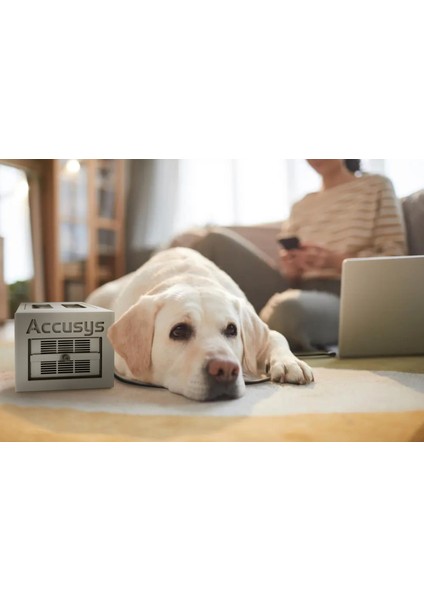 16TB Accusys Carry2 Çift Diskli Raıd Depolama fırsatları