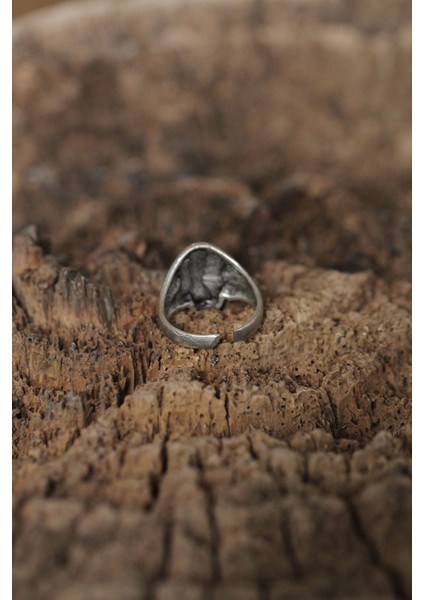 Ayarlanabilir Motifli Kuru Kafa Tasarımlı Erkek Yüzük fiyatları