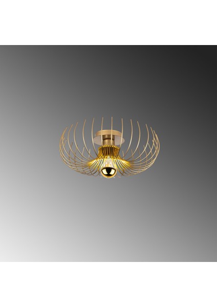 Tel Tekli Plafönyer Metal Avize Aydınlatma Parlak Gold KARSORTEL-N-641-1-S