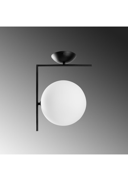 Luminar Modern Tekli Glop Cam Plafönyer Avize Siyah, Dekoratif Tavan Aydınlatma LUMINAR-14120
