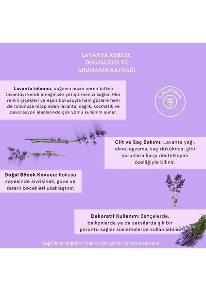 Lavanta Kurusu fiyatları