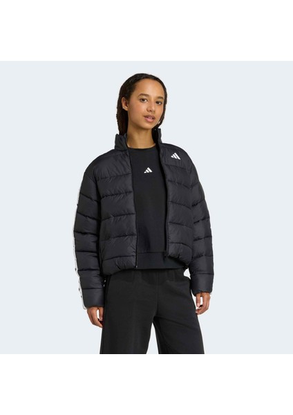 Essentials Climawarm Mont JM8421 modelleri