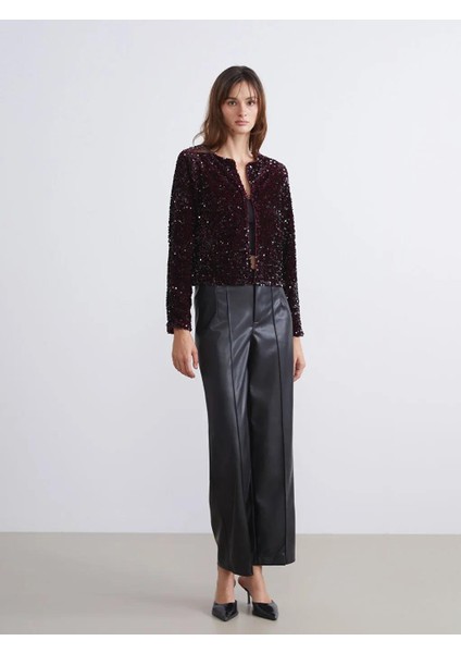 Bisiklet Yaka Pul Payetli Kadın Ceket (W5) fiyatları