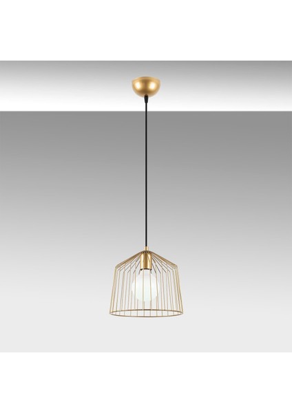 Cat Tekli Tel Sarkıt Avize Parlak Gold, Modern Dekoratif Metal Lamba CAT-12060 fırsatları