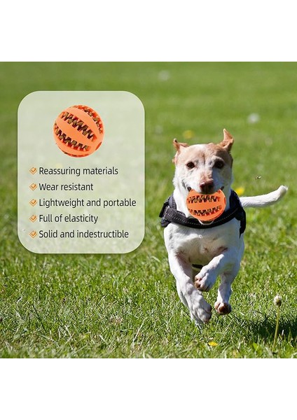 Mama Hazneli Köpek Eğitim ve Oyun Topu modelleri