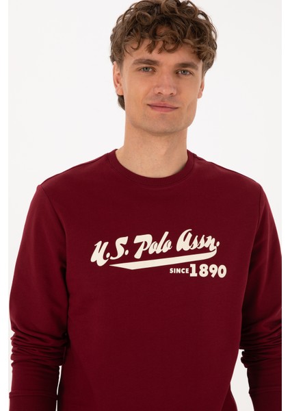 Erkek Bordo Sweatshirt 50316315-VR014 fiyatları
