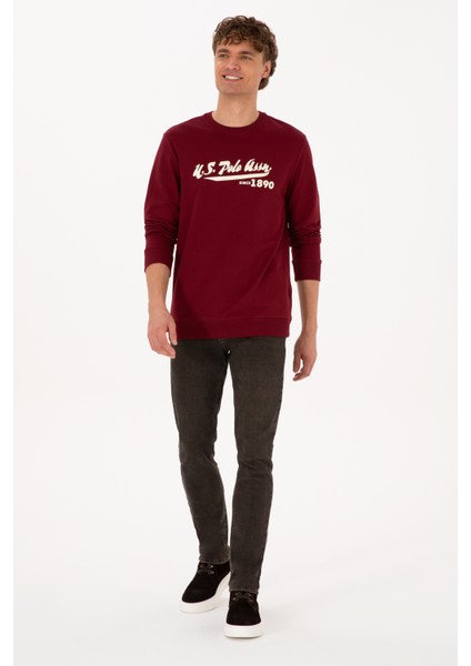 Erkek Bordo Sweatshirt 50316315-VR014 fırsatları