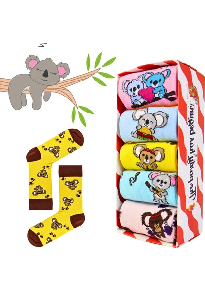 5\'li Koala Story Desenli Renkli Unisex Kutulu Çorap Seti fiyatları