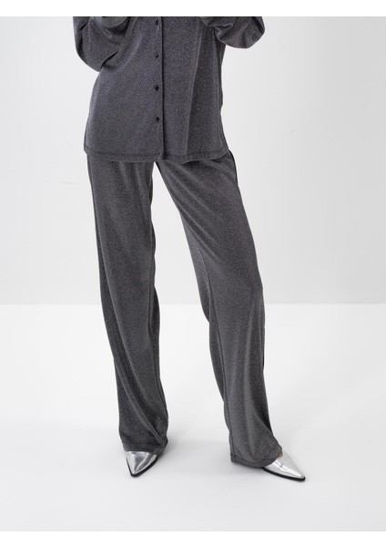 Kadın Antrasit Işıltılı Sim Detaylı Regular Fit Pantolon indirimleri