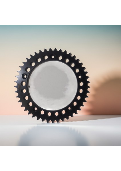 Voge 500 Ds 21-24 Arka Dişli 41