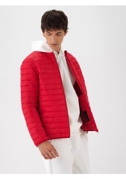 Erkek Kırmızı Formunu Koruyan Regular Fit Mont