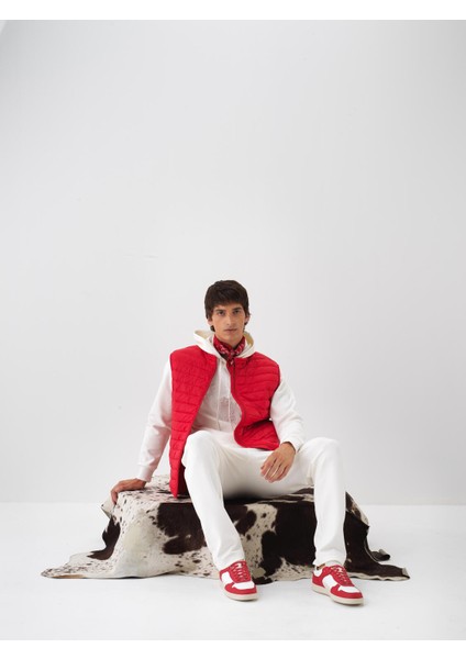 Erkek Kırmızı Formunu Koruyan Regular Fit Yelek